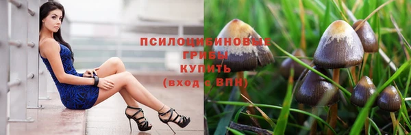 мяу мяу мука Вязники