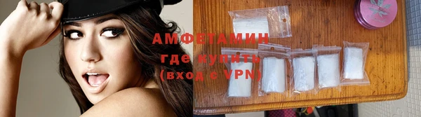 гашик Вяземский