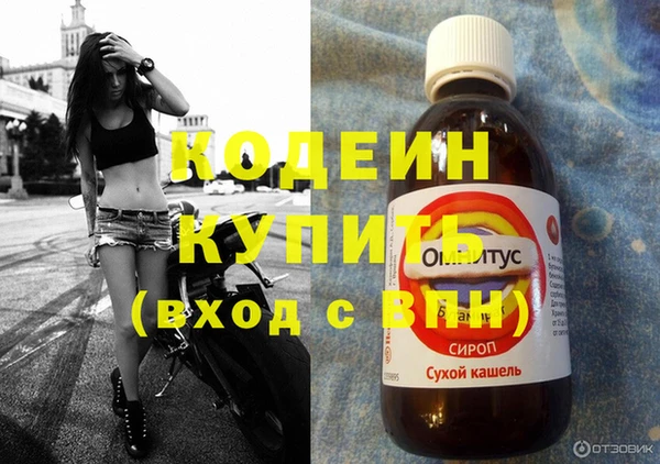 гашик Вяземский